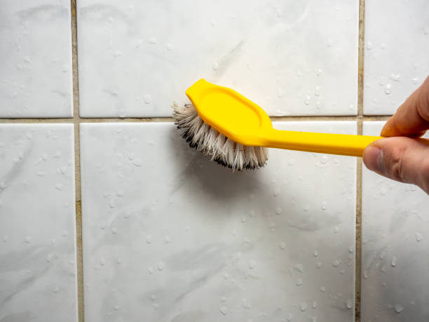 Professional Mold Removal in Williston, SC