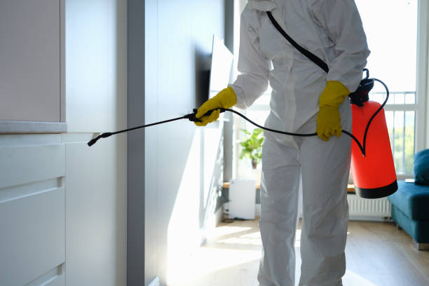 Best Mold Remediation Experts  in Williston, SC